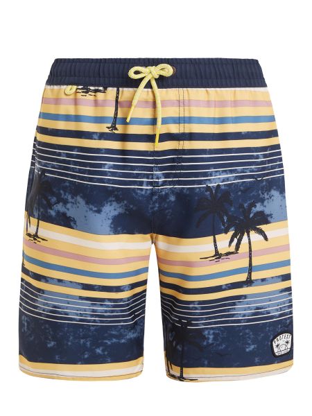 Protest Boys Prtjason Jr Beachshort