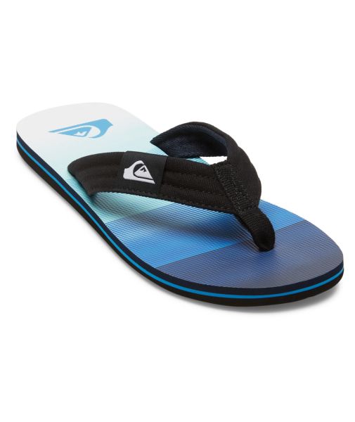 Quiksilver M Molokai Layback Ii