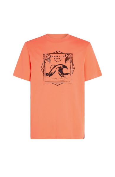 Oneill M Mix And Match Wave T-Shirt