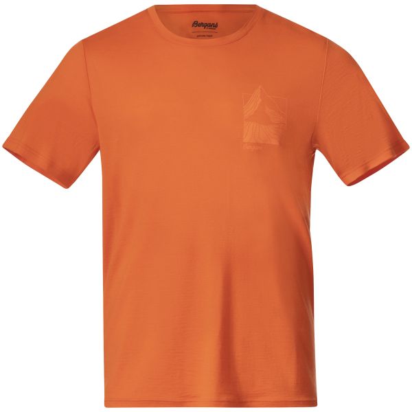 Bergans M Rabot Mount Wool Tee