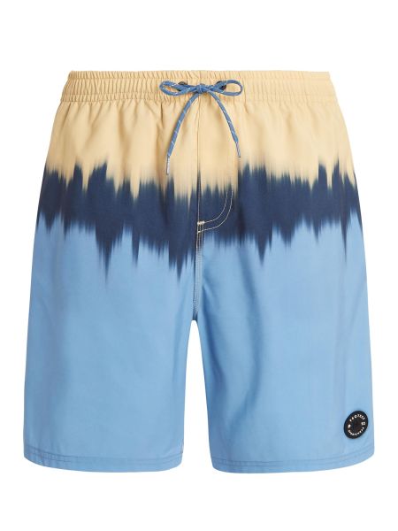 Protest M Prtcagnes Beachshort