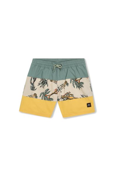 Oneill Boys Mix And Match Cali Block 13&#039;&#039; Swim Shorts