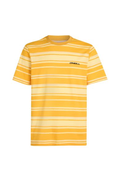 Oneill M Mix And Match Stripe T-Shirt