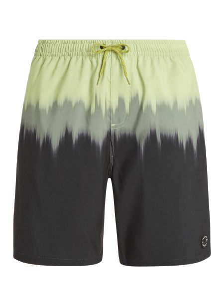 Protest M Prtcagnes Beachshort