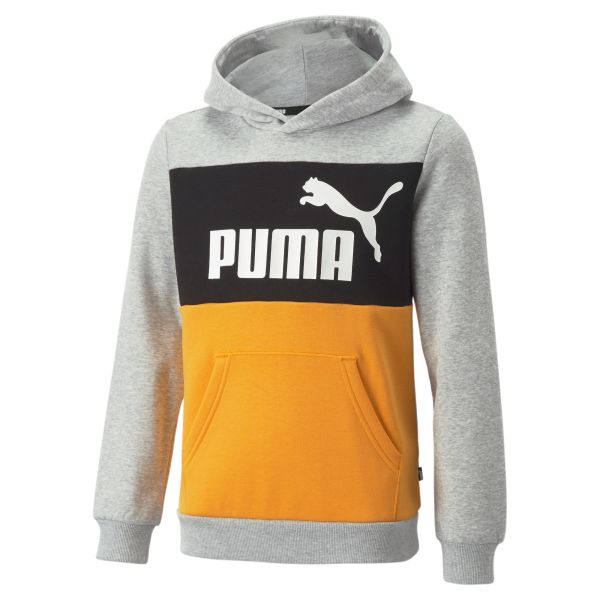 Puma Boys Essentials+ Colorblock Hoodie Fl