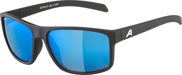 Alpina Nacan I Polarized