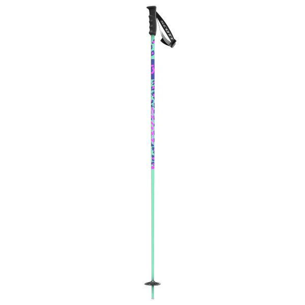 Scott W Kacy Ski Pole