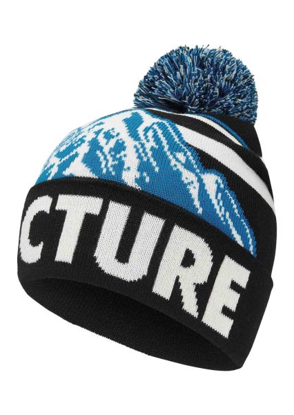 Picture Bernie Beanie