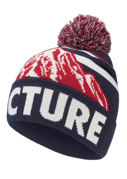 Picture Bernie Beanie